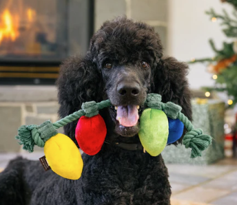 Load image into Gallery viewer, PLAY Holiday Lights
