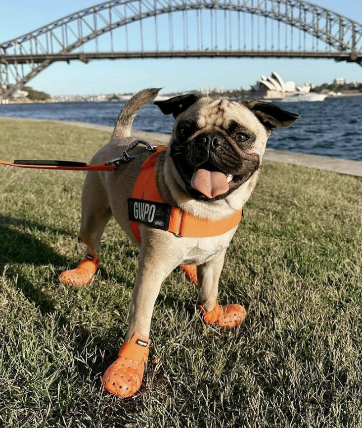 Load image into Gallery viewer, Wagwear WagWellies Mojave Neon Orange