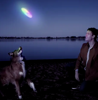 Load image into Gallery viewer, Nite Ize Dog LED Disco Frisbee