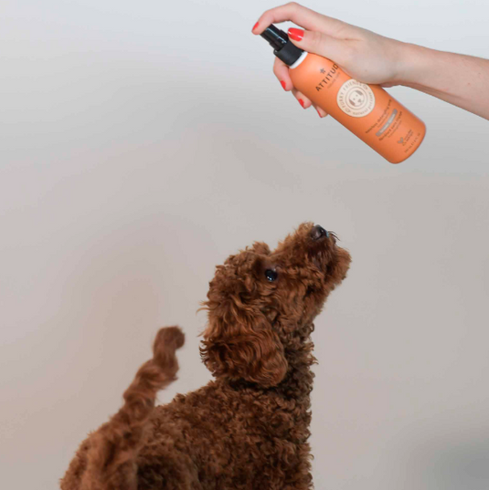 Attitude Itch Soothing Waterless Detangling Spray Lavender 240 ml