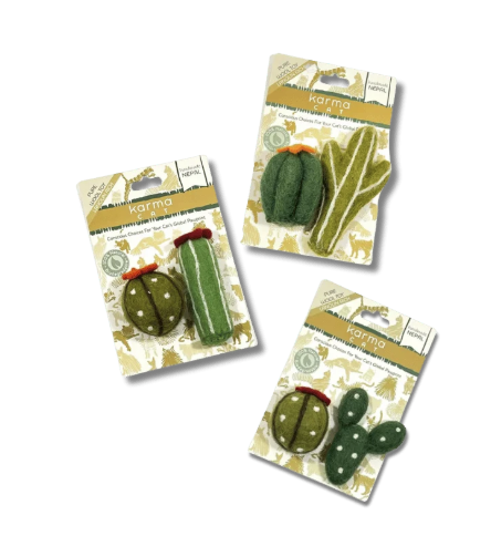 Load image into Gallery viewer, Dharma Dog Karma Cat Succulents 2pk