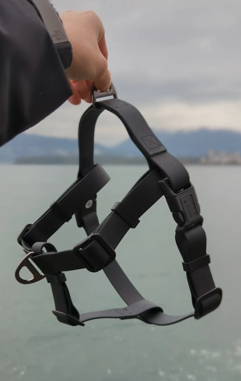 Load image into Gallery viewer, Woof & Stuff Raven Waterproof Adventure Harness