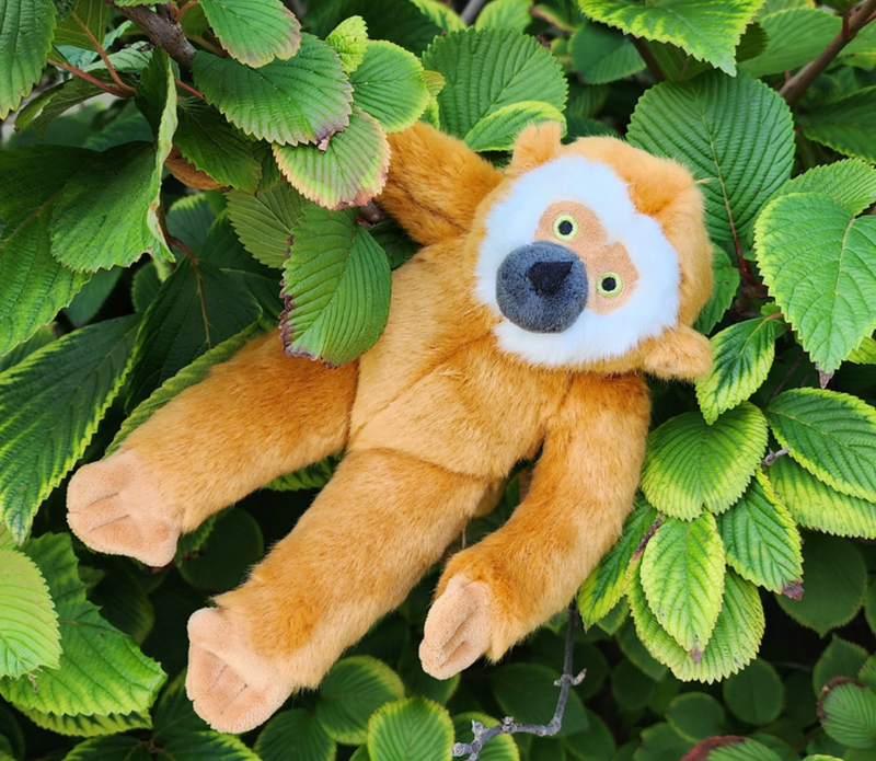 Load image into Gallery viewer, Fluff & Tuff Marcel Monkey 13''