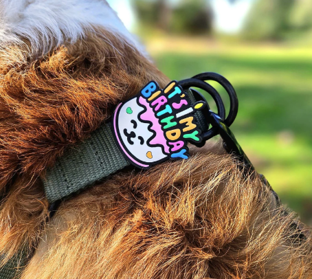 Load image into Gallery viewer, Jiby Dog Charm Birthday