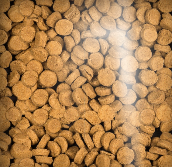 Load image into Gallery viewer, Oven-Baked Tradition Dog GF Treat Turkey & Hemp 6 oz