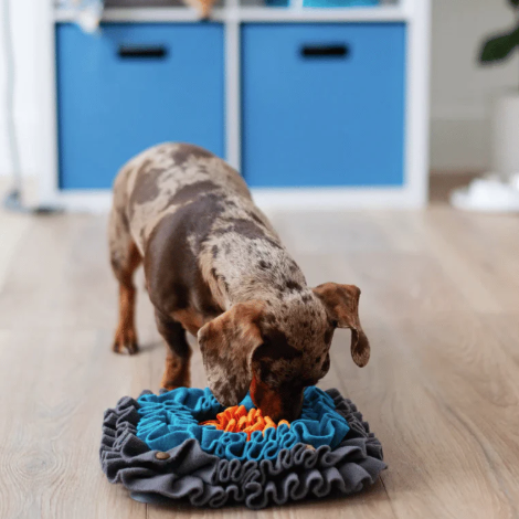 Load image into Gallery viewer, Messy Mutts Forage Square Mat with Suction