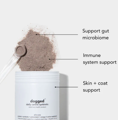 Load image into Gallery viewer, Dogged Daily Canine Symbiotic