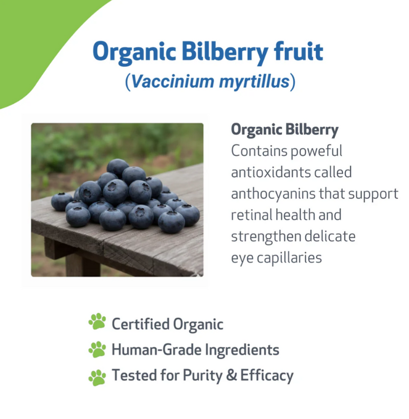 Load image into Gallery viewer, Pet Wellbeing Bilberry Supports Healthy Vision & Capillaries in Dogs - Discover Dogs