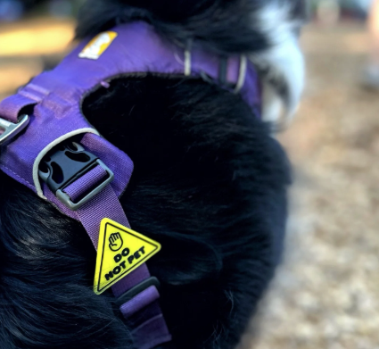 Load image into Gallery viewer, Jiby Dog Charm Do Not Pet