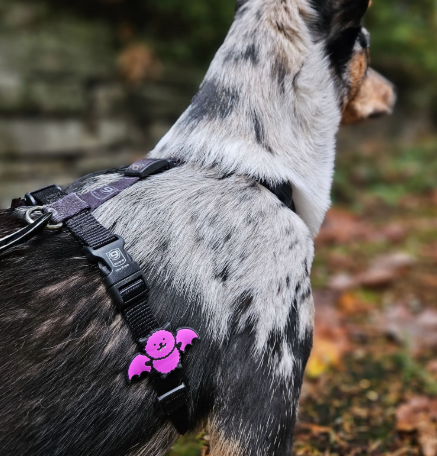 Load image into Gallery viewer, Jiby Dog Charm Bat