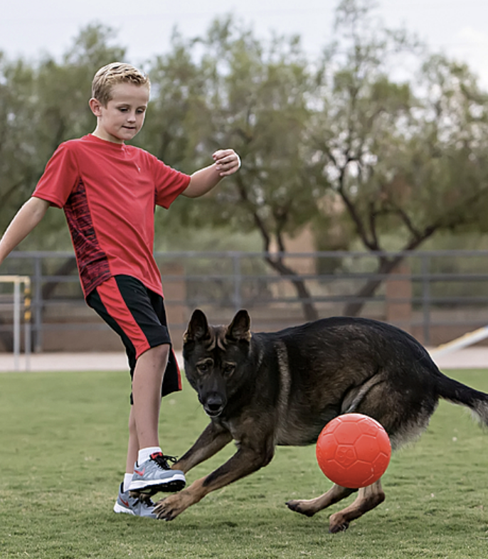 Load image into Gallery viewer, Jolly Pets Soccer Ball 6''