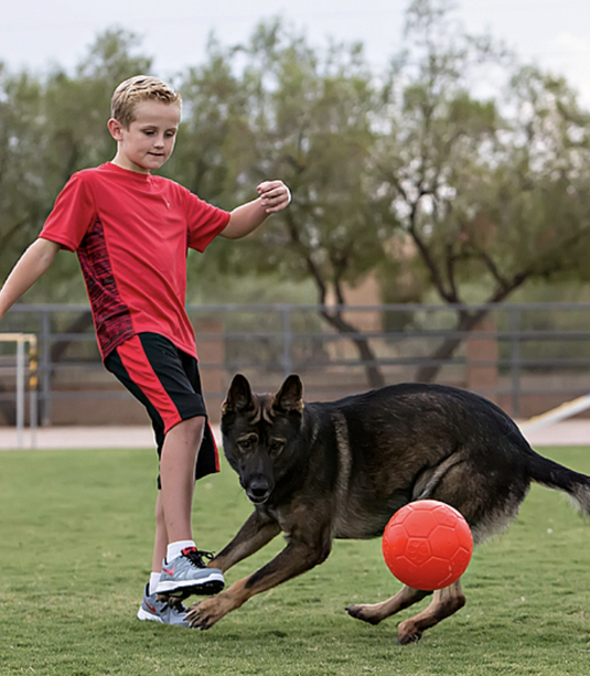 Jolly Pets Soccer Ball 6''