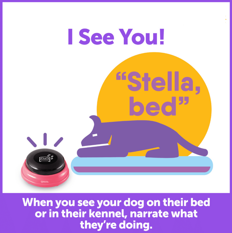 Load image into Gallery viewer, Hunger For Words Talking Pet Next Words – Locations