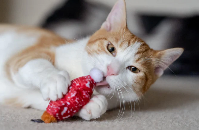 Load image into Gallery viewer, PLAY Feline Frenzy Meowy Christmas