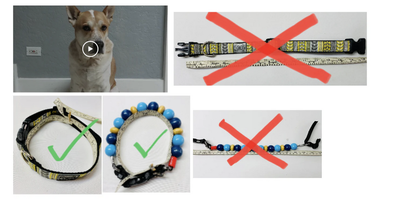 Load image into Gallery viewer, Furrybeads Collar 26 - Dino - Discover Dogs