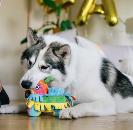 Load image into Gallery viewer, PLAY Party Animal Pinata