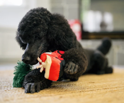Load image into Gallery viewer, PLAY Home for the Holidays Red Truck