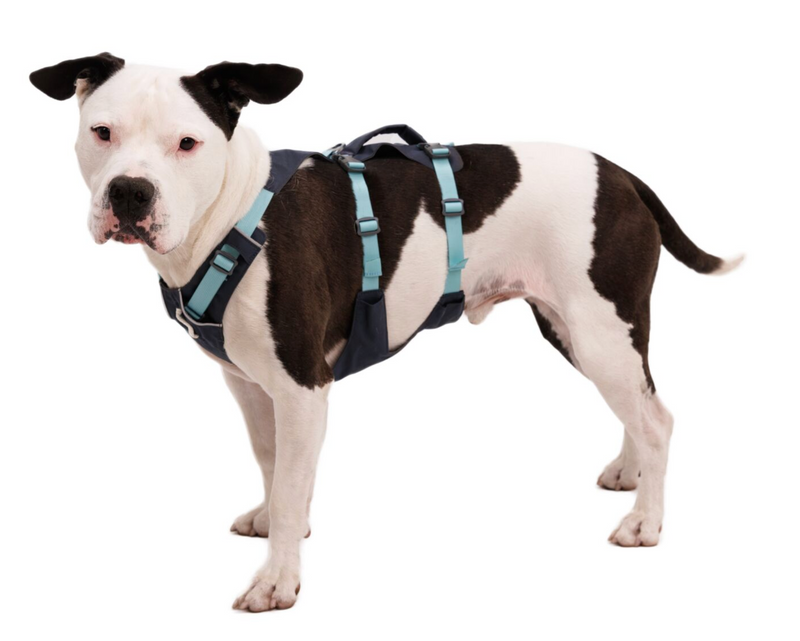 Load image into Gallery viewer, Ruffwear Flagline Harness Basalt Gray