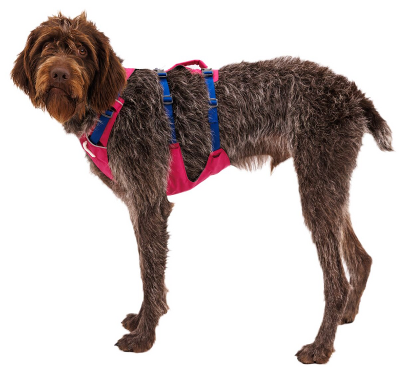 Load image into Gallery viewer, Ruffwear Flagline Harness Alpenglow Pink