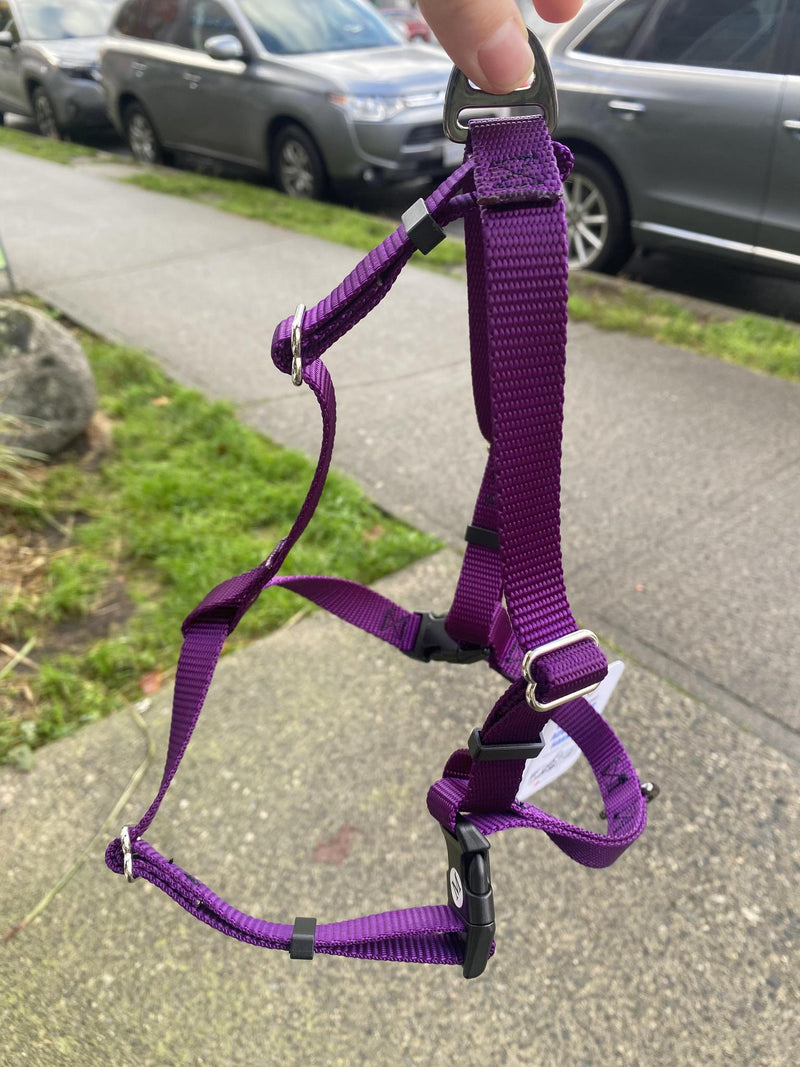 Load image into Gallery viewer, Woof & Stuff Basecamp Harness Purple