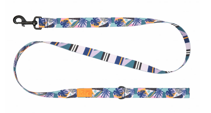 Load image into Gallery viewer, RC Eco Leash 5' x 1''