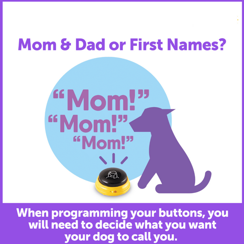 Load image into Gallery viewer, Hunger For Words Talking Pet Next Words – Names