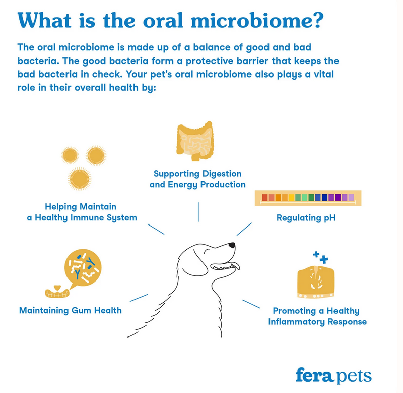 Load image into Gallery viewer, Fera Pet Organics Dental Support for Dogs & Cats 60g - Discover Dogs