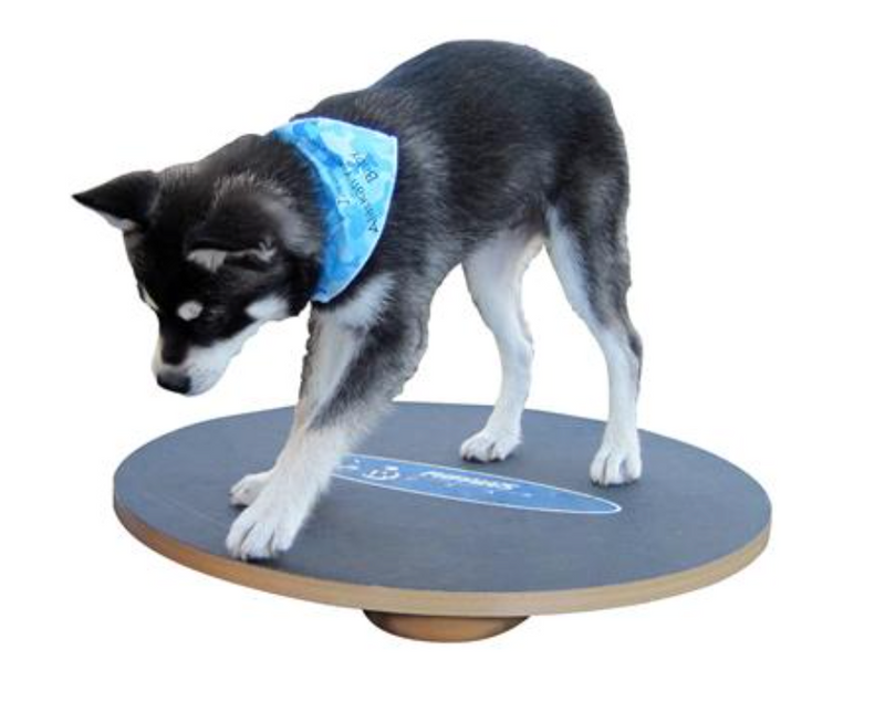 Load image into Gallery viewer, FitPAWS Wobble Board