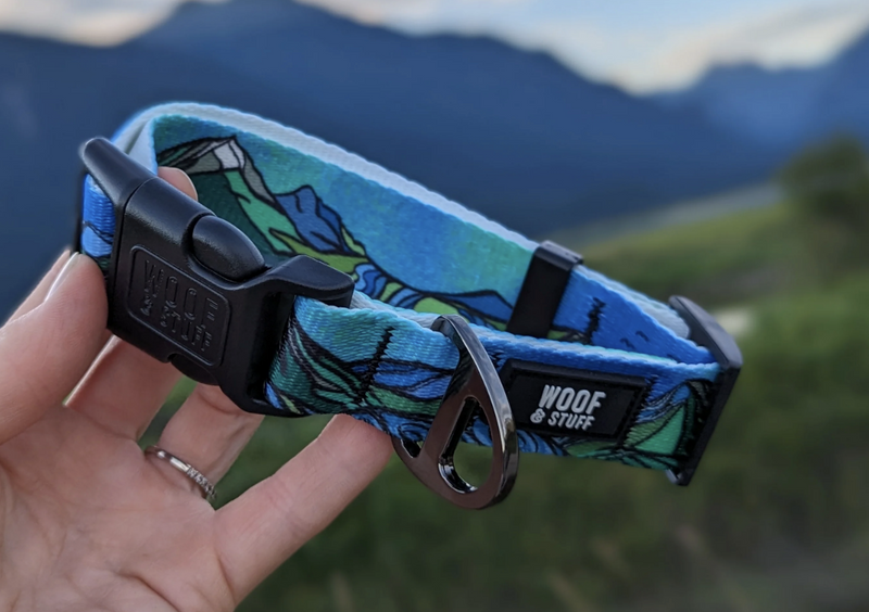 Load image into Gallery viewer, Woof & Stuff West Coast Waterproof Collar