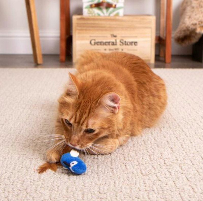 Load image into Gallery viewer, Instincts Chatty Chirp Bird Toy