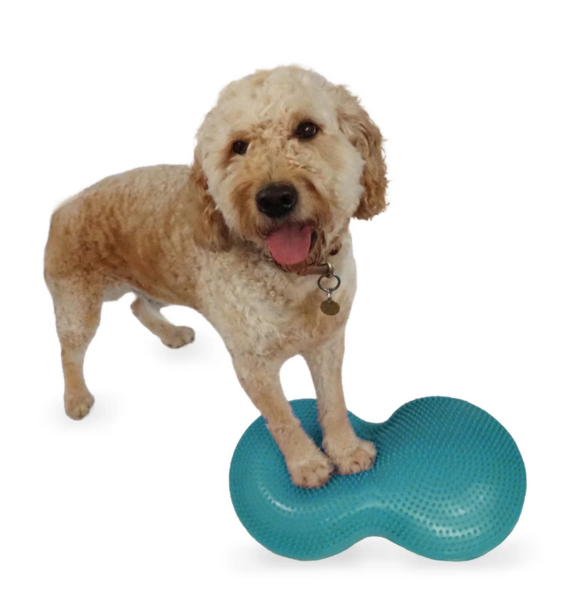 Load image into Gallery viewer, FitPAWS Duo Disc (24" x 13" x 3")