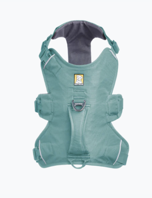 Load image into Gallery viewer, Ruffwear Web Master River Rock Green