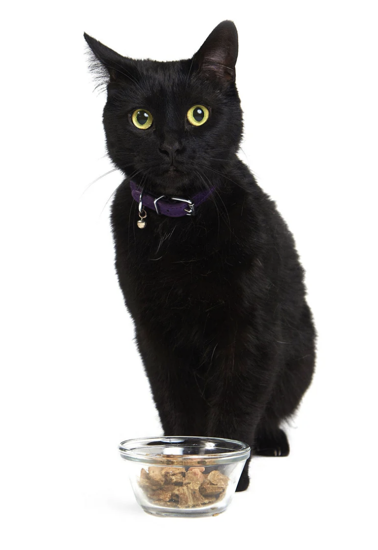 Load image into Gallery viewer, Smack Cat Lamb Royale