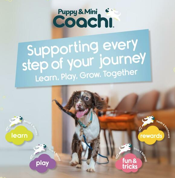 Load image into Gallery viewer, Coachi Puppy & Mini Toilet Bells Teal & Mint