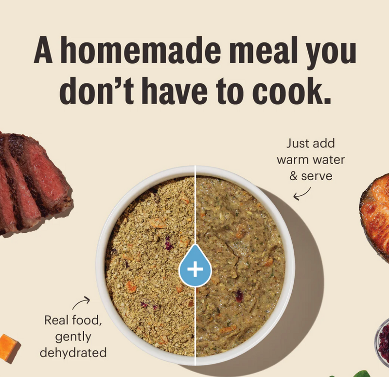 Load image into Gallery viewer, Honest Kitchen Dehydrated Grain-Free Beef - Discover Dogs
