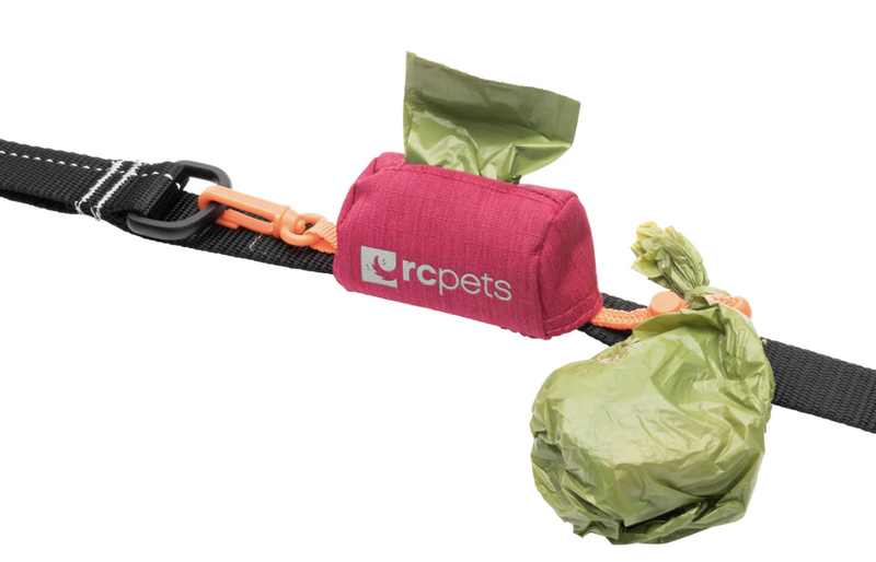 Load image into Gallery viewer, RC P.U.P. Bag - Discover Dogs