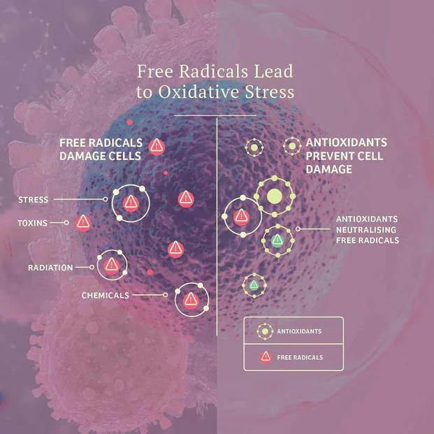 Load image into Gallery viewer, Adored Beast Vital Defense 50g