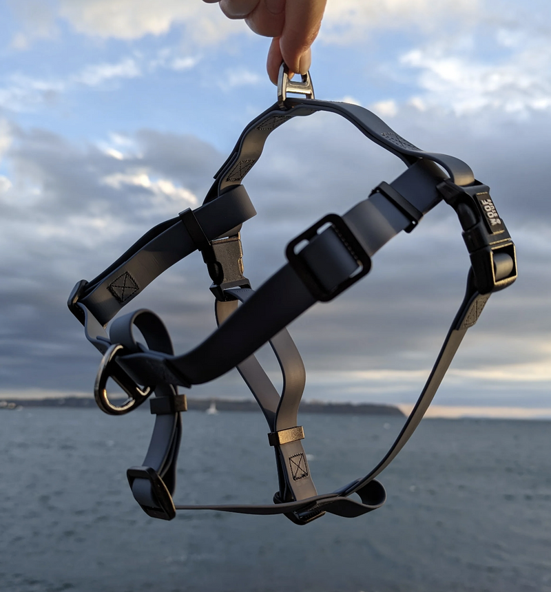 Load image into Gallery viewer, Woof & Stuff Blueberry Waterproof Adventure Harness