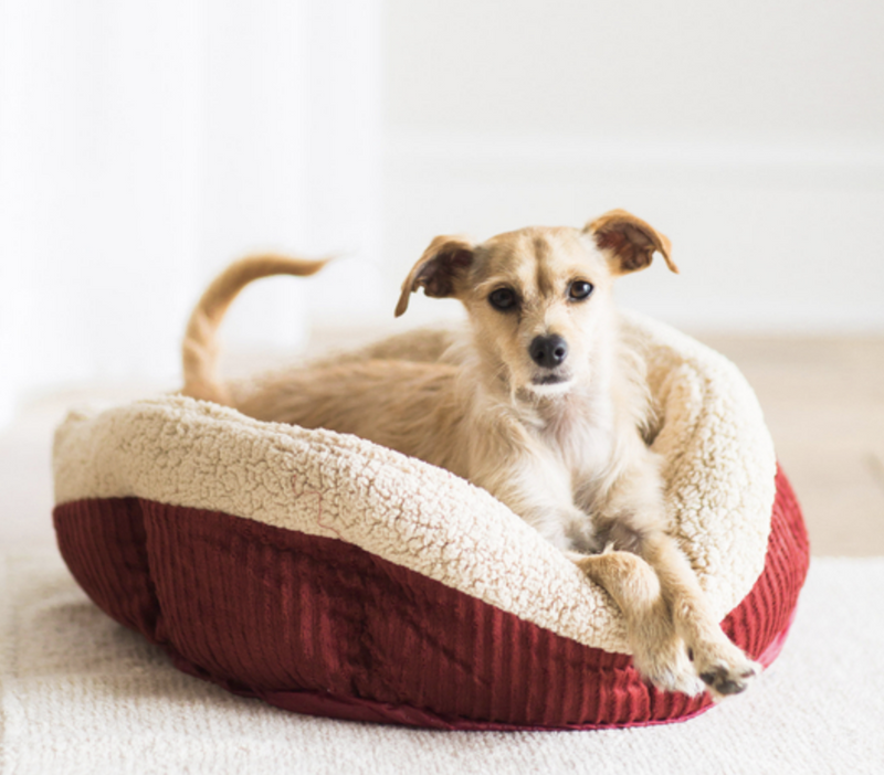 Load image into Gallery viewer, Aspen Pet Self Warming Oval Lounger Bed Red & Cream 19"