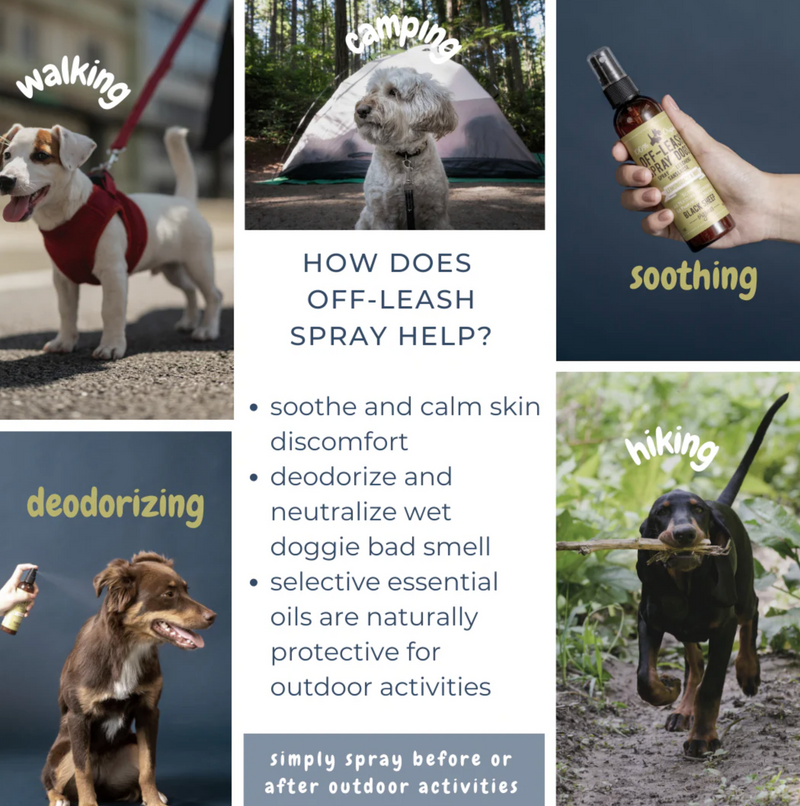 Load image into Gallery viewer, Black Sheep Organics Lemongrass & Mint Organic Off-Leash Spray 4oz