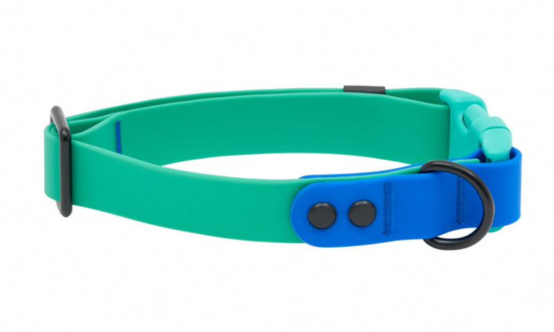 Load image into Gallery viewer, RC Pets Waterproof Collar Parakeet/Sapphire