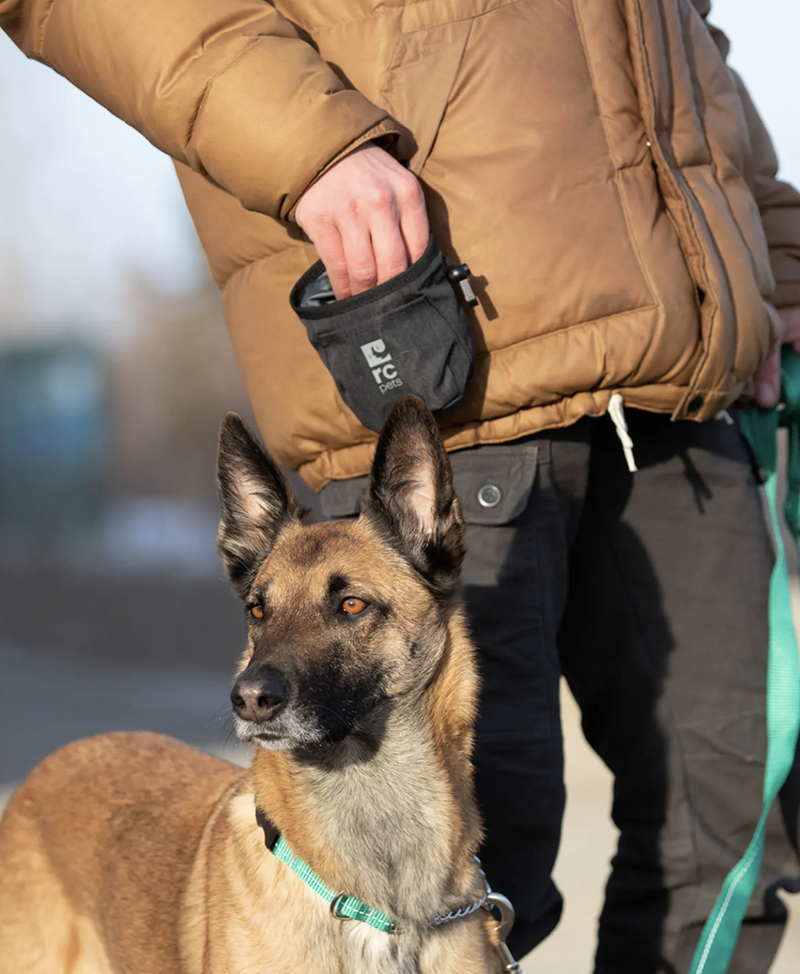 Load image into Gallery viewer, RC Pets Essential Treat Bag - Discover Dogs