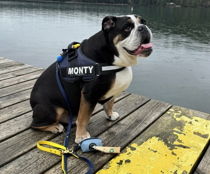 Load image into Gallery viewer, Monty's Vegan Leather Poop Bag Dispenser