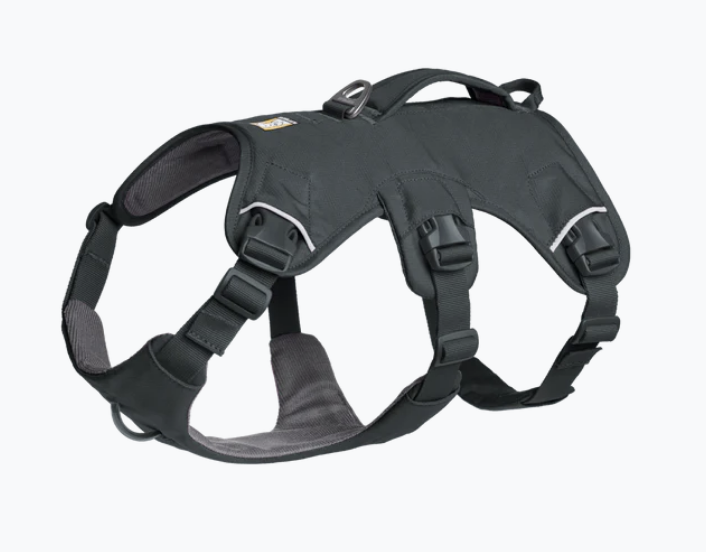 Load image into Gallery viewer, Ruffwear Web Master Basalt Gray