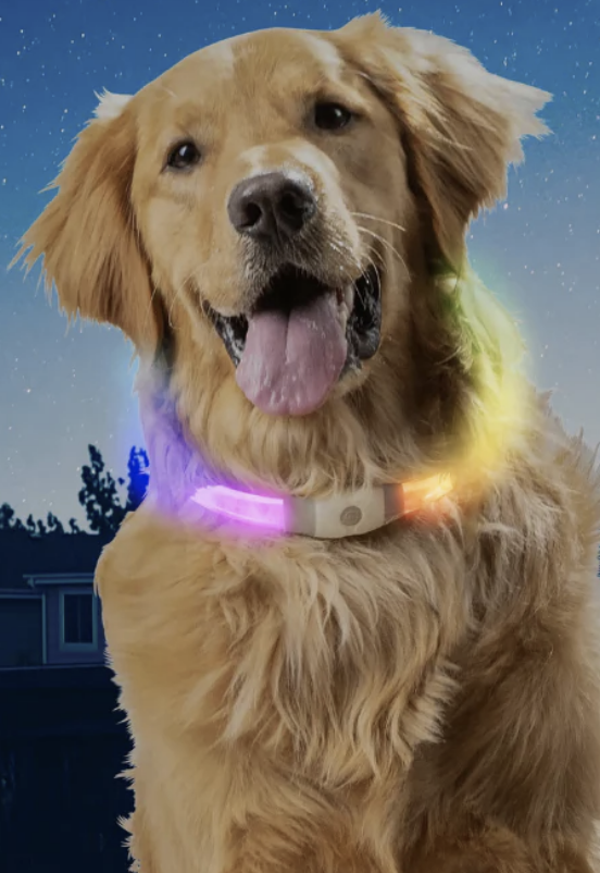 Load image into Gallery viewer, Nite Ize NightHowl Disco Rechargeable