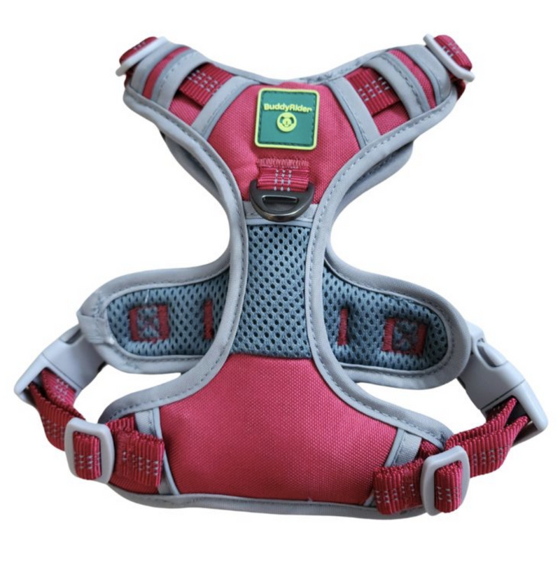 Load image into Gallery viewer, BuddyRider Harness Red
