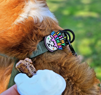 Load image into Gallery viewer, Jiby Dog Charm Birthday