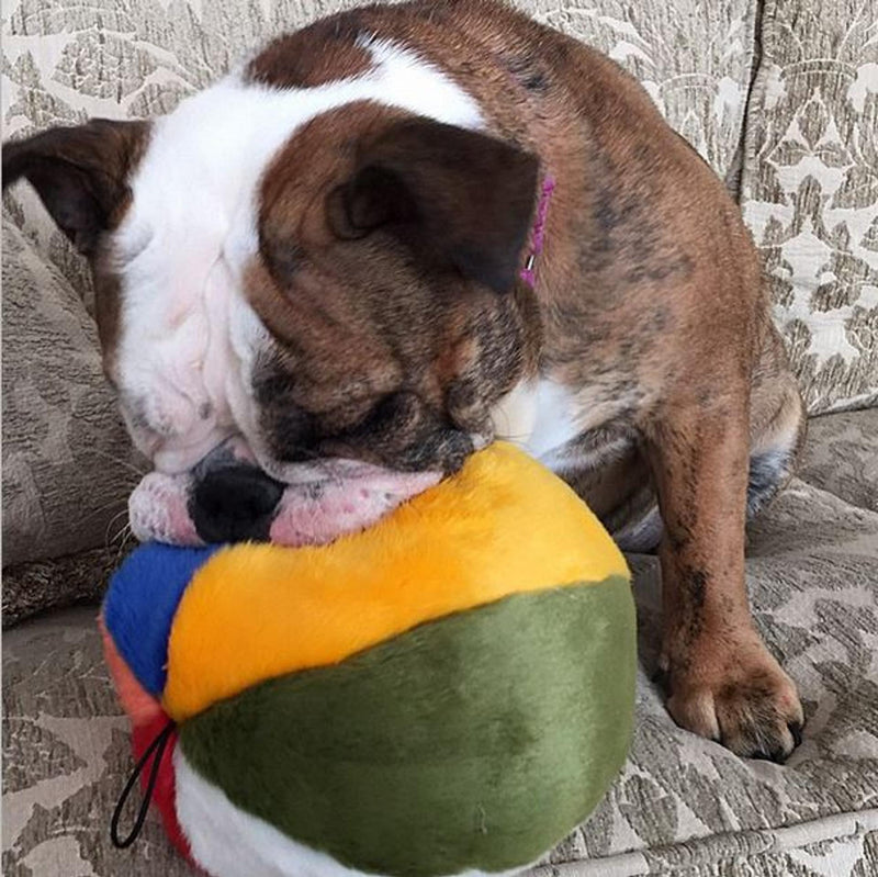 Load image into Gallery viewer, Fluff & Tuff Beach Ball 7''