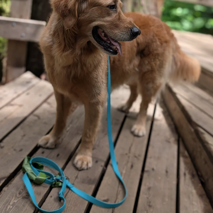 Load image into Gallery viewer, Woof & Stuff Lagoon Waterproof Longline