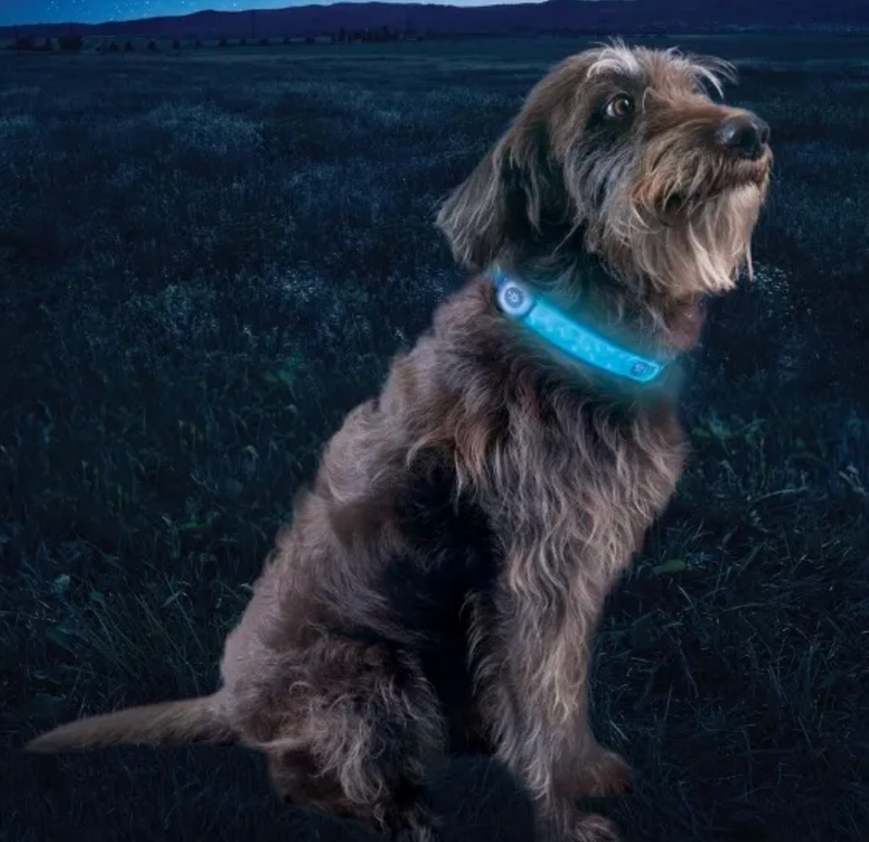 Load image into Gallery viewer, Nite Ize NiteDog Rechargeable LED Collar Cover Disc-O Select